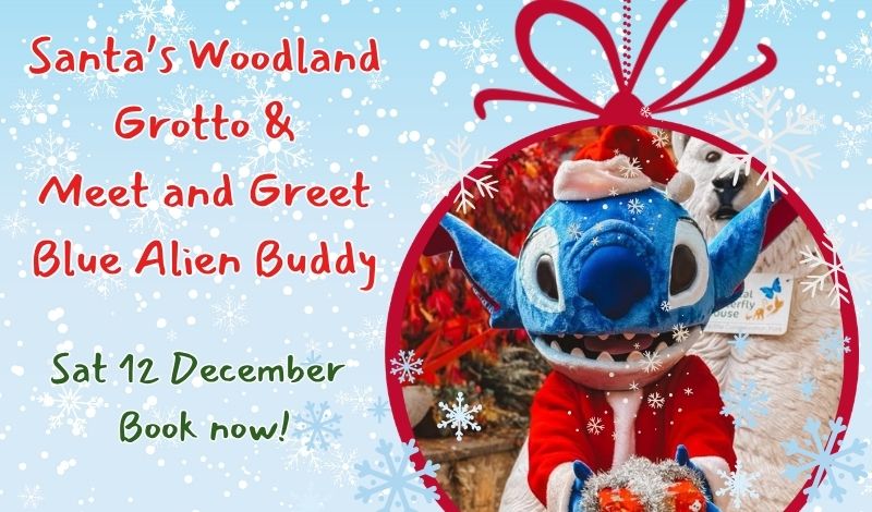 Meet and Greet Blue Alien Buddy article image